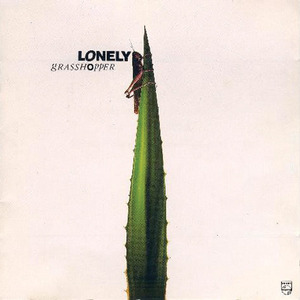 成年人免费网站视频
